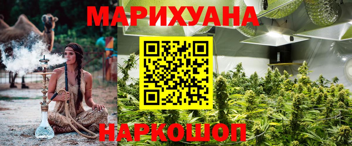 Каннабис конопля Юрга